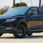 تولید دیگنیتی متوقف شد