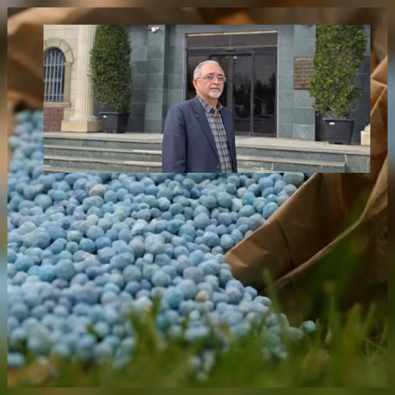 خیراندیش: ۴۵۰۰ تُن کود شیمیایی میان کشاورزان در لنگرود توزیع شد خیراندیش: ۴۵۰۰ تُن کود شیمیایی میان کشاورزان در لنگرود توزیع شد