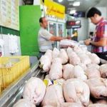 قیمت جدید مرغ رسما اعلام شد/ طلاکش: مردم مرغ نخریدند، قیمت مرغ به این عدد رسید