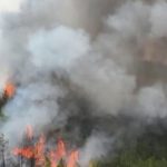 مرزبانی: ۲ هکتار از عرصههای طبیعی گیلان دچار حریق سطحی شد