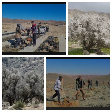 منابع طبیعی فارس در تقاطع حفاظت و بهرهبرداری
