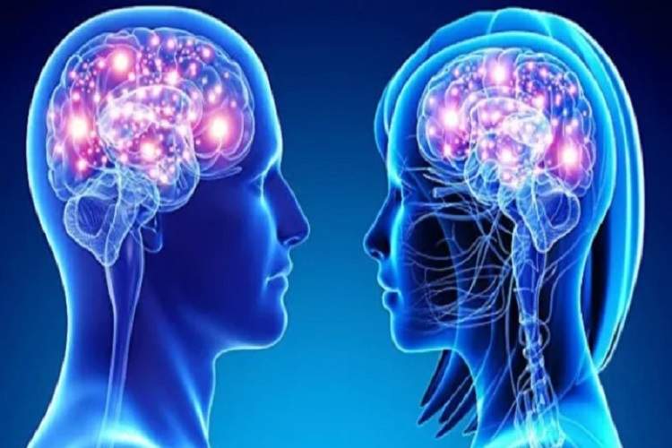ناحیهای یکسان از مغز که در زنان و مردان «متفاوت» کار میکند!