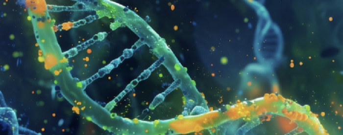 ویرایش معکوس RNA؛ کلید طلایی بازنویسی سرنوشت بیماریهای قلبی