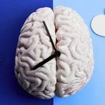 پسانداز خواب چیست و چرا بعضیها نباید سراغش بروند؟