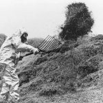 چرا پاکسازی چرنوبیل پایانی ندارد؟