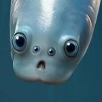 کشف شگفتانگیز: نیاکان مهرهداران ۵۱۸ میلیون سال پیش چهار چشم داشتهاند