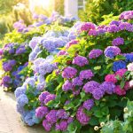 گلهای خود را تنها نگذارید/ گیاهانی که یکدیگر را لمس میکنند، کمتر استرس میگیرند!