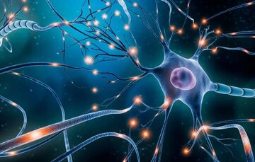 یادگیری یک زبان خارجی فقط در چند ثانیه