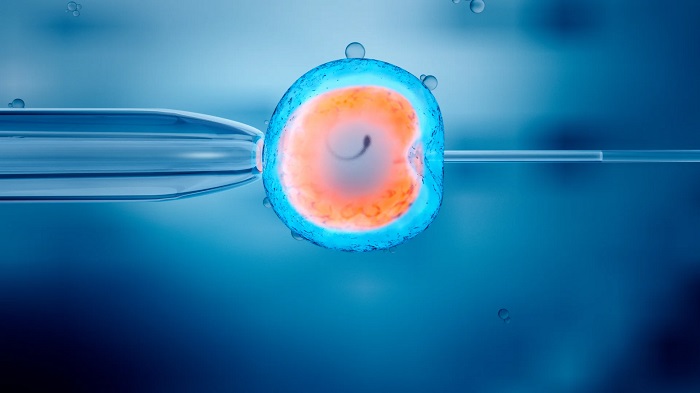 IVF ایمنتر، با امید بیشتر و ریسک کمتر