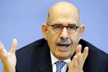 انتقاد البرادعی از نبود رویکرد راهبردی جهان عرب برای حفظ امنیت و منافع