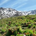 بازدید و مستندسازی ظرفیتهای ذخیره گاه زیست کره «قمیشلو – دالانکوه»