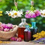تولید سالانه ۱۰۷۵تن انواع گیاه دارویی در قزوین