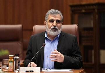 کمالوندی: حمله به تاسیسات تحت نظارت پادمان جنایت جنگی است