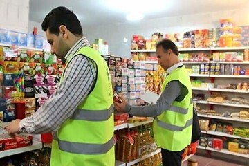 ۱۱ هزار بازرسی از واحدهای اقتصادی فارس / تشکیل ۶۹۱ پرونده گرانفروشی به ارزش ۴۳میلیارد ریال