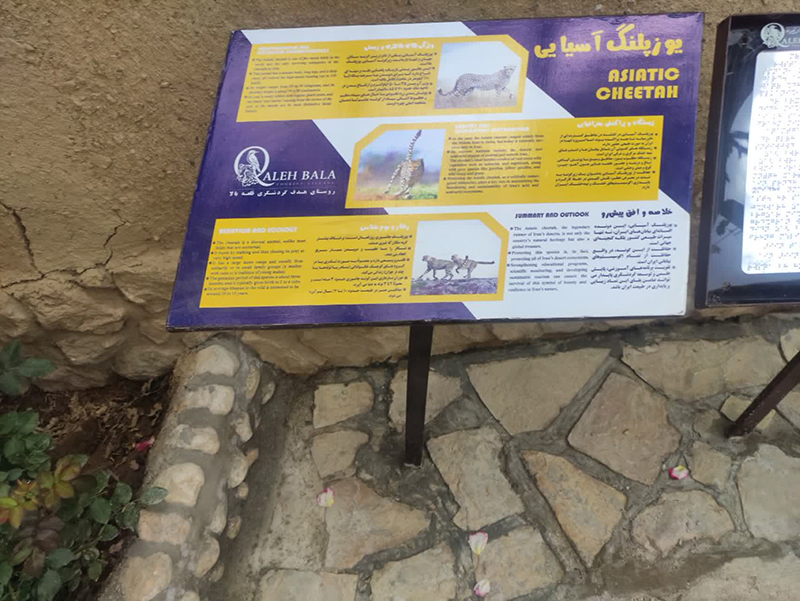قلعه بالا در مسیر جهانیشدن؛ تکمیل زیرساختهای حیاتی از آبرسانی تا دسترسی و آموزش محیطزیستی